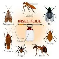 Инсектицид Балазо 10%, к.е.