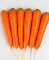 Морковь курода