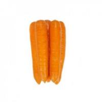 Морковь нантская