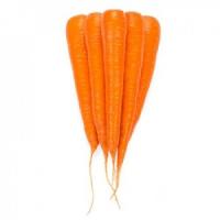 Морковь флакке