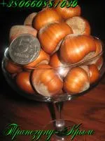 Орехи крупноплодного фундука Трапезунд в скорлупе
