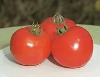 Семена томатов Полфаст