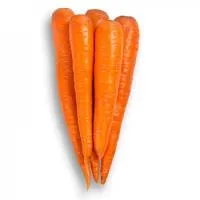 Морковь ВАРМИЯ F1 1,8-2,0 (1 000 000 семян) Rijk Zwaan