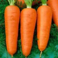 Морковь РЕД КОР (100 грамм) Гавриш