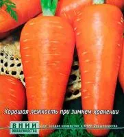 Морковь ШАНТАНЭ КОРОЛЕВСКАЯ 1,6-1,8 (500 грамм) Поиск